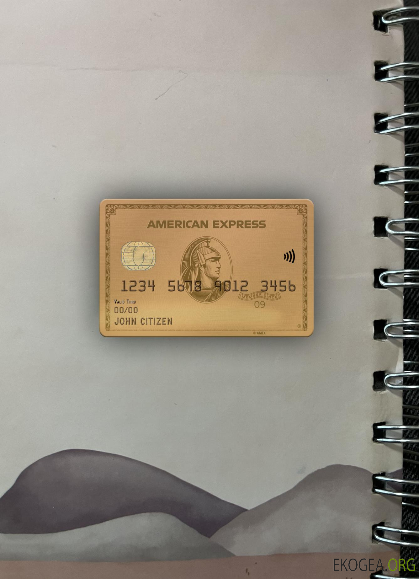 USA Maryland Howard banque personnelle AMEX carte or photolook ,